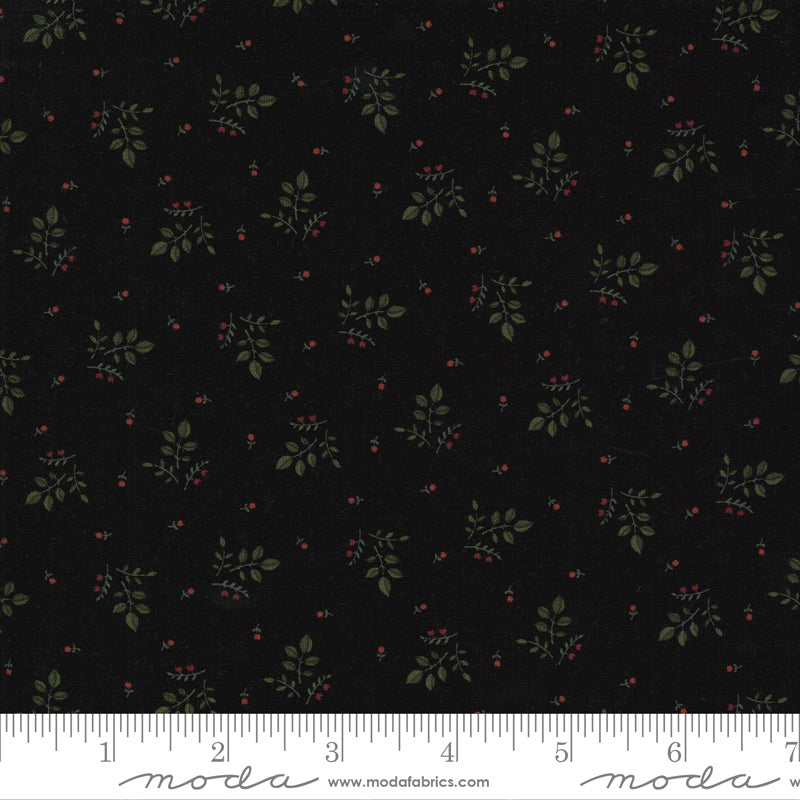 Prairie Dreams Black