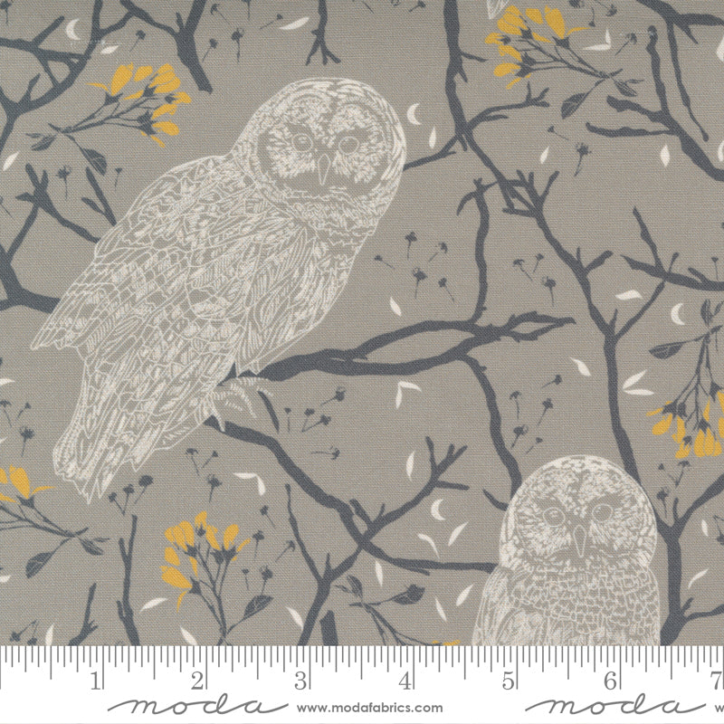 Through The Woods Flint Owls