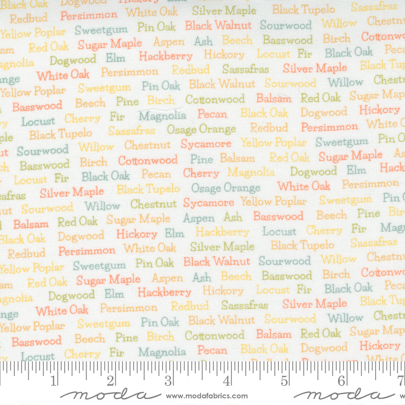 Cozy Up Cloud Words