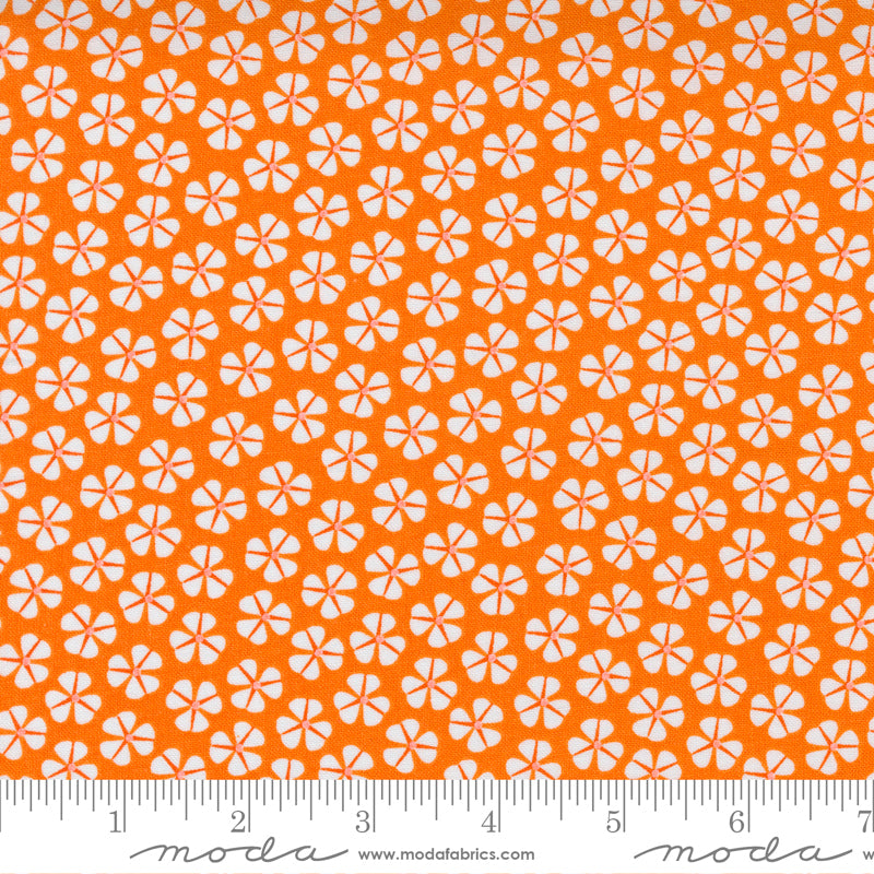 Petal Power Over Orange Sm Flower