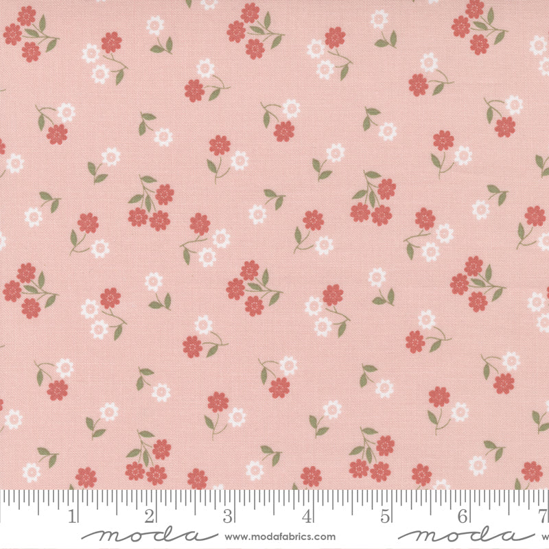Country Rose Pale Pink Small Flower