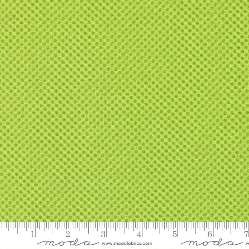 On The Bright Side Kiwi 22466 18 Moda #1