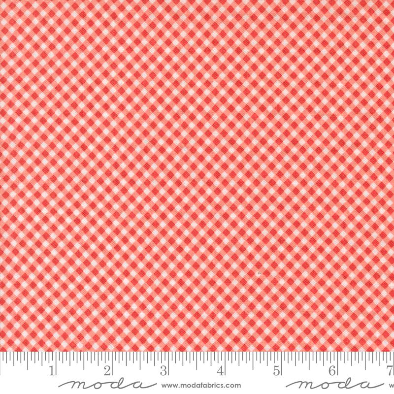 Raspberry Summer Gingham Carnation 37697 12