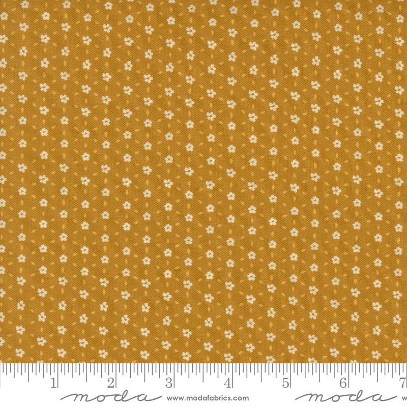 Sagewood Seedling Golden 11956 12