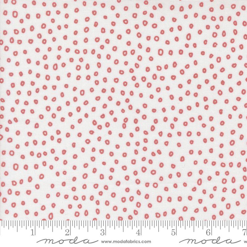 Botany Seeds Paper 11556 14