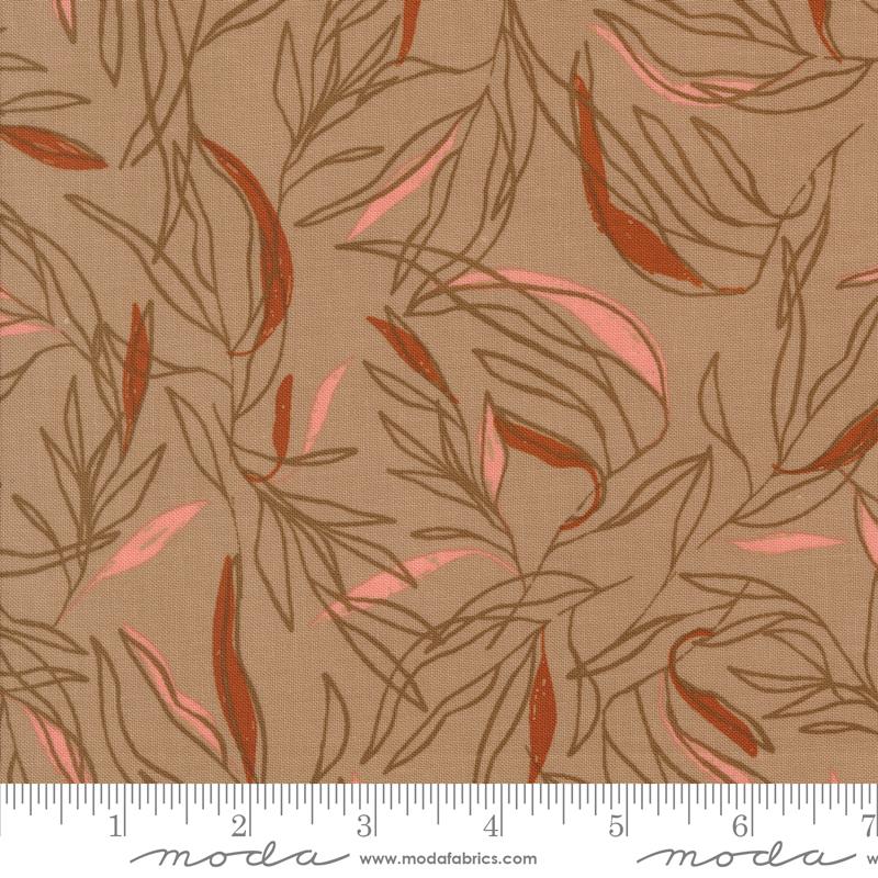 Foraged Found Leaf Sketch Mushroom 45632 13