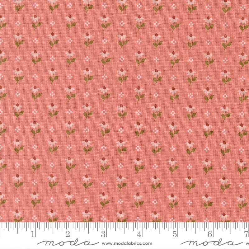 Wild Honey Rose Water Coneflower 5252 13