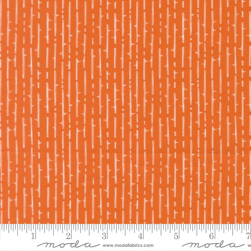 Coven Thorny Stripes Pupmkin Spice 48806 13