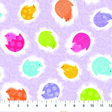 Spring Chickens Lavendar Chickens Hatching
