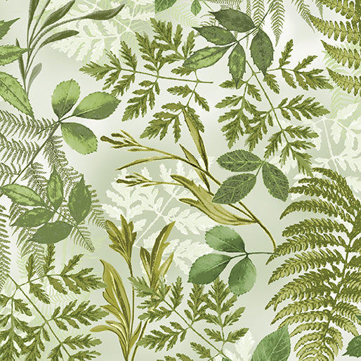 Fern Fantasy Sage 108"