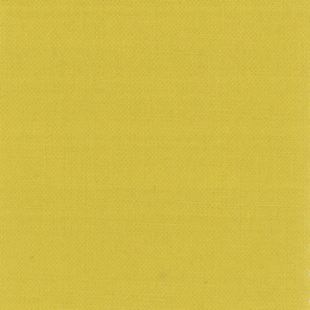Bella Solids Maize