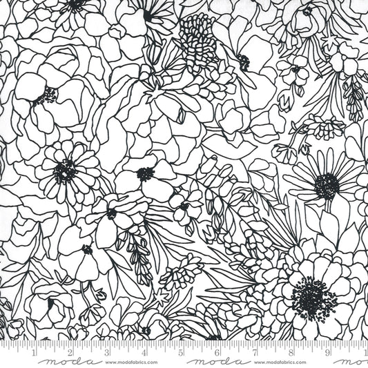 Illustrations ROT Coated Cotton Paper Drawn Flowers