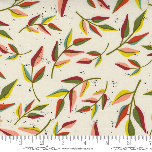 Songbook Dove Wing Leaves