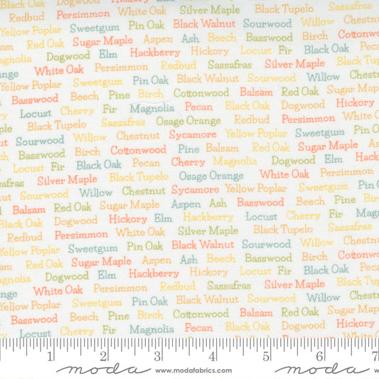 Cozy Up Cloud Words