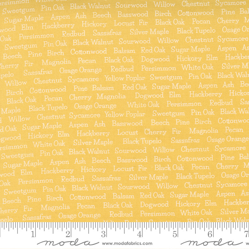Cozy Up Sunshine Words