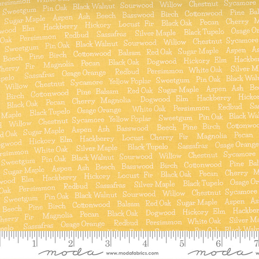 Cozy Up Sunshine Words