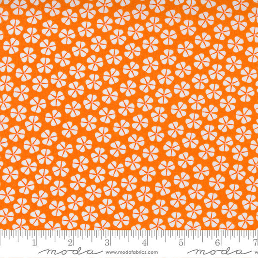 Petal Power Over Orange Sm Flower