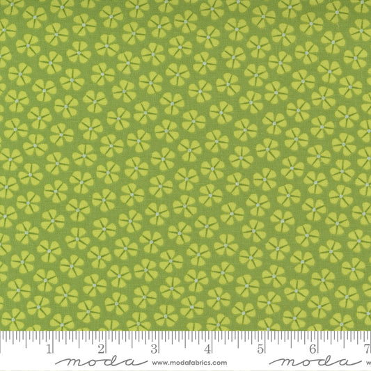 Petal Power Grassy Green Sm Flower