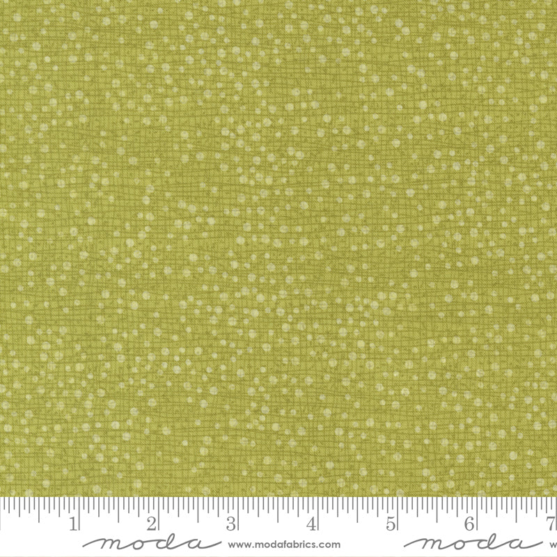Tulip Tango Chartruese Thatched w Dots