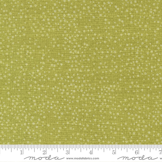 Tulip Tango Chartruese Thatched w Dots
