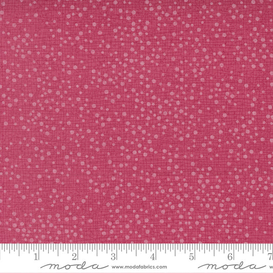 Tulip Tango Tulip Thatched w Dots
