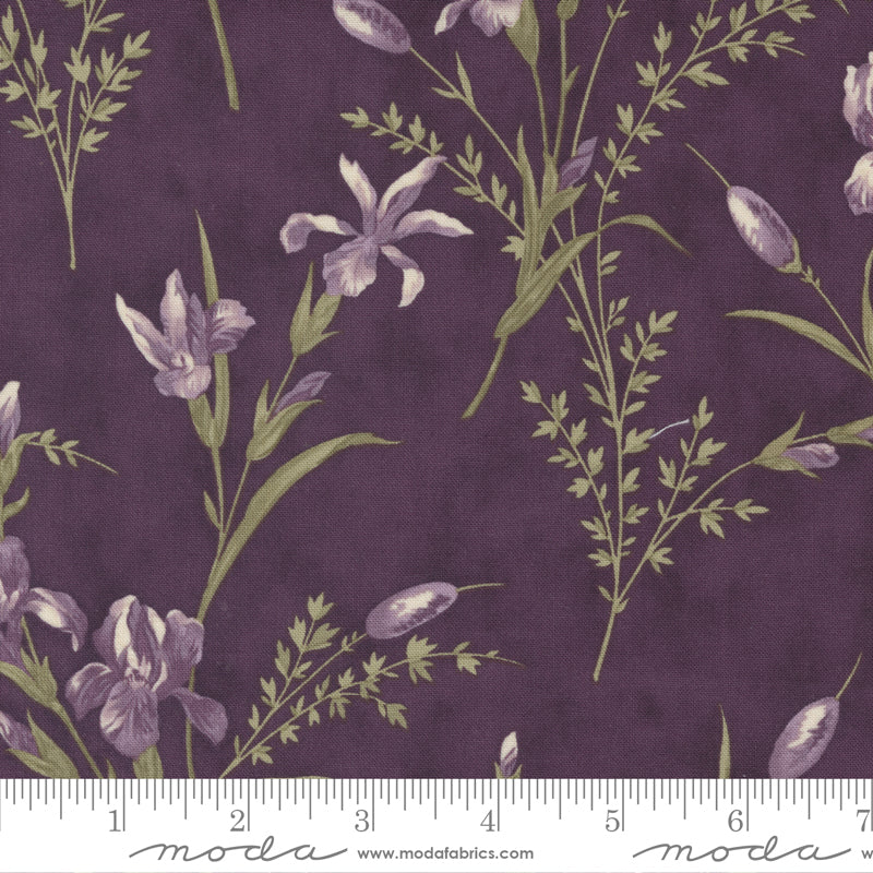 Iris and Ivy Plumy Iris
