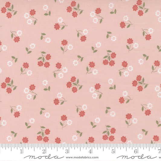 Country Rose Pale Pink Small Flower