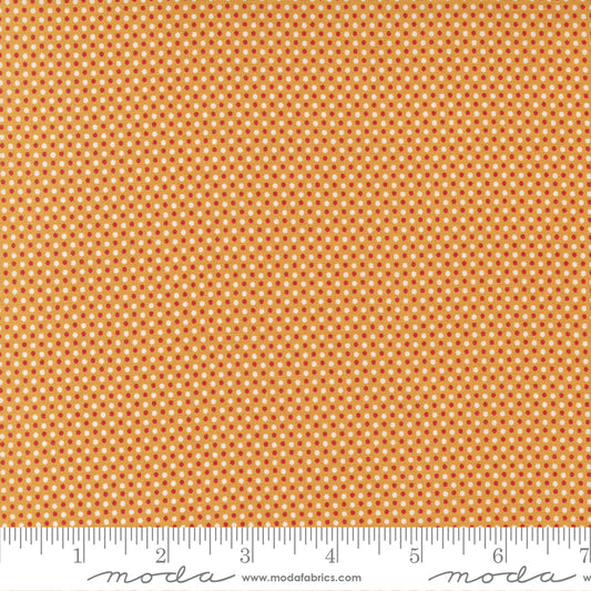 Graze Dots Sunshine