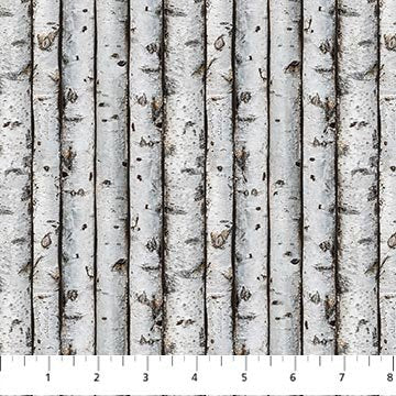 First Light Birch Trees Lt Gray