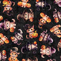 QT CUTIES - HALLOWEEN KITTENS