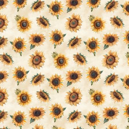 Sunkissed Cream Sunflower Toss