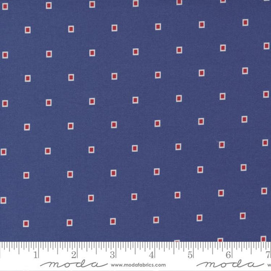 Picture Perfect Navy 21805 18 Moda #1