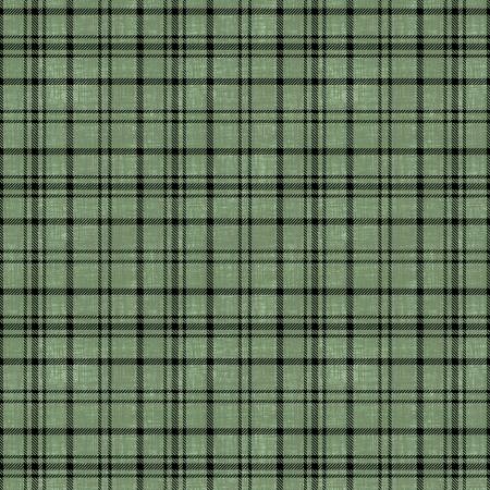 Timberland Trails Green Plaid Texture