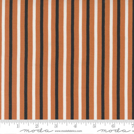Spellbound Pumpkin Stripe 43145 13