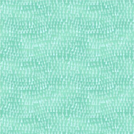 Wild North Aqua Triangle Tops