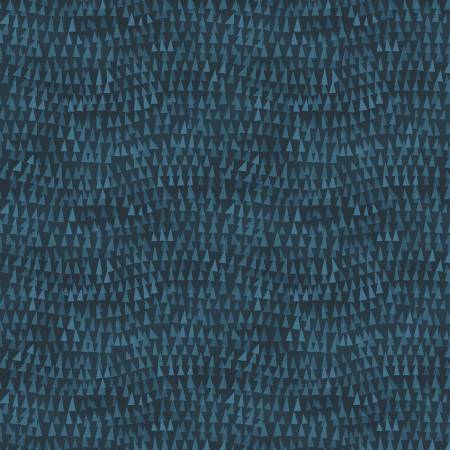 Wild North Navy Triangle Tops