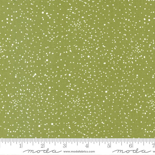 Blizzard Pine Dots 55626 13