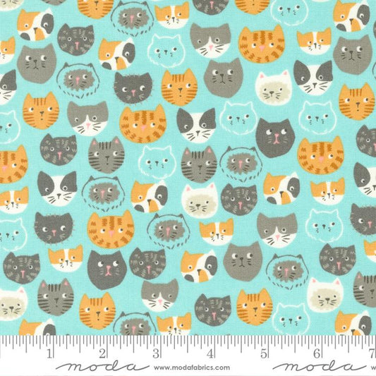Here Kitty Kitty Aqua 20830 18 Moda #1