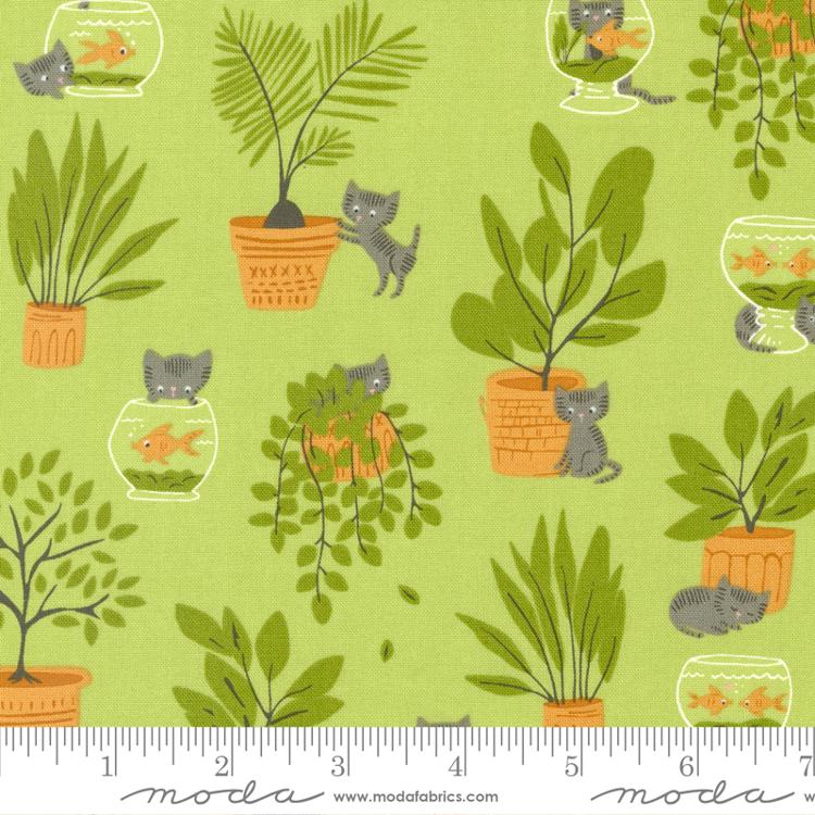 Here Kitty Kitty Pistachio 20831 13 Moda #1