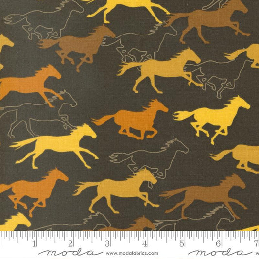Ponderosa Soil 20862 23 Moda #1