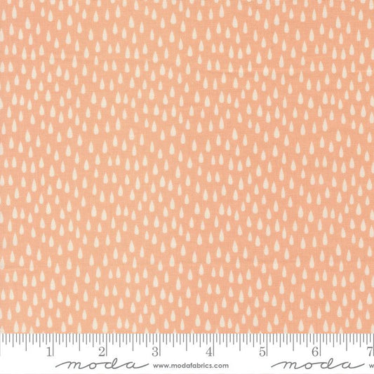 Noahs Ark The Storm Peach 20875 15 Moda #1