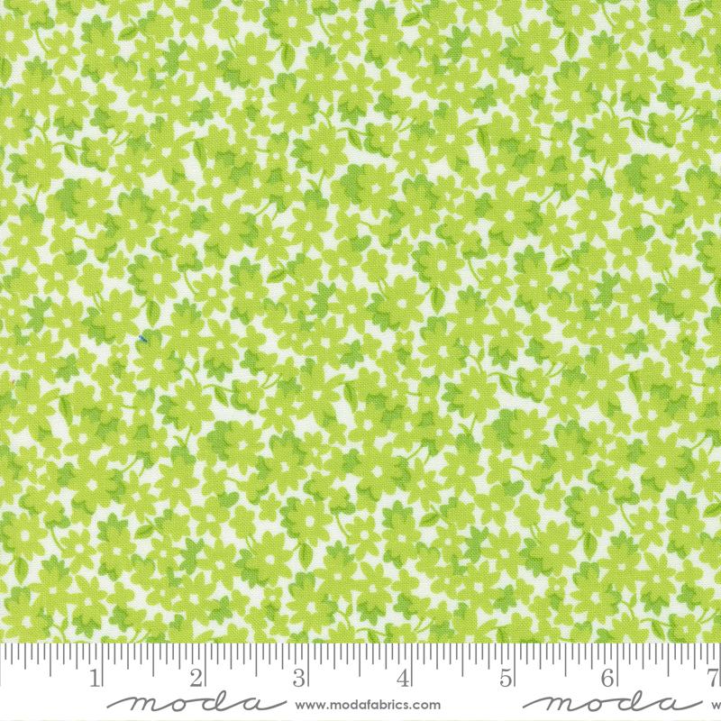 On The Bright Side Kiwi 22461 32 Moda #1