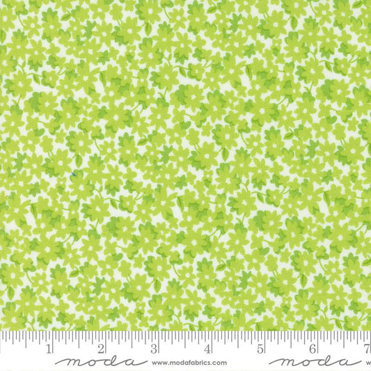 On The Bright Side Kiwi 22461 32 Moda #1