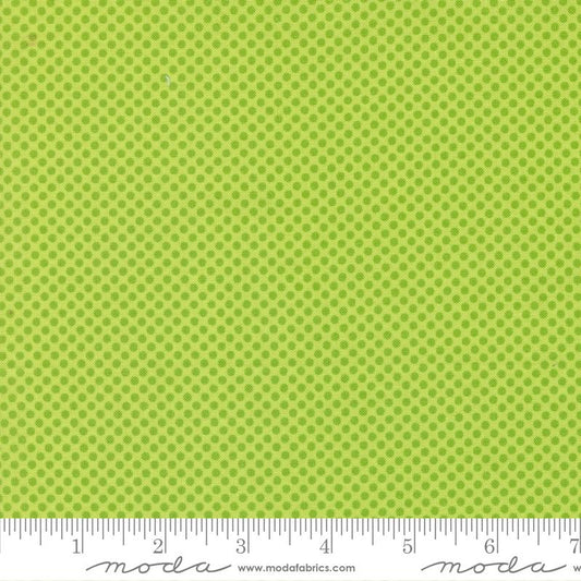 On The Bright Side Kiwi 22466 18 Moda #1
