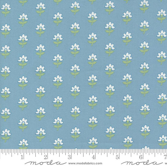 Shoreline Light Blue 55301 12 Moda #1