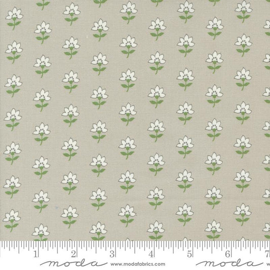 Shoreline Grey 55301 16 Moda #1
