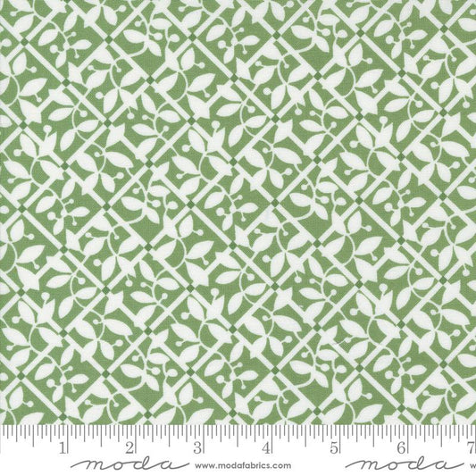 Shoreline Green 55303 15 Moda #1