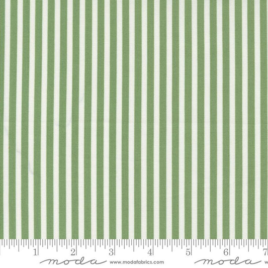 Shoreline Green 55305 15 Moda #1