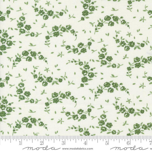 Shoreline Cream Green 55308 25 Moda #1