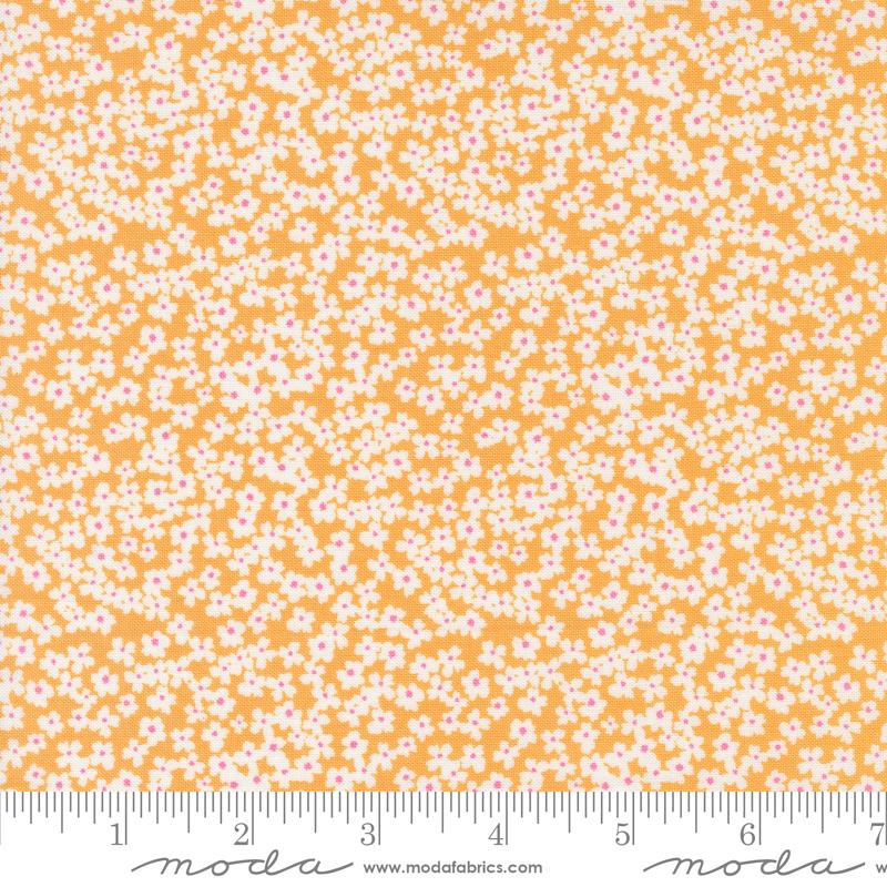 Shine Orangesicle 55672 15
